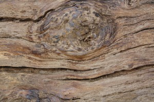 reclaimed oiled