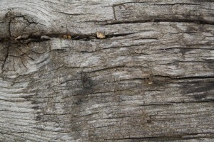 reclaimed unfinished