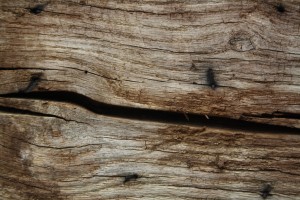 reclaimed washed