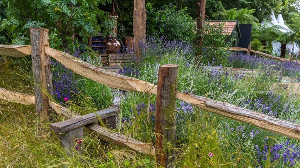 Lavender Garden with oak fences