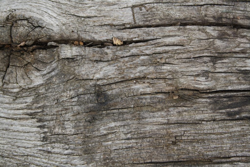 Different Types of Oak Beams