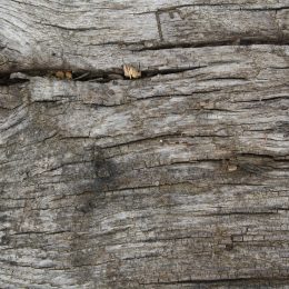 Unfinished reclaimed oak