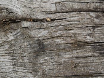 Unfinished reclaimed oak