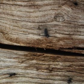 Reclaimed Oak Washed.